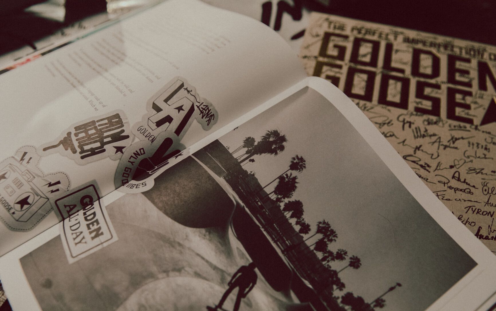 THE GOLDEN BOOK